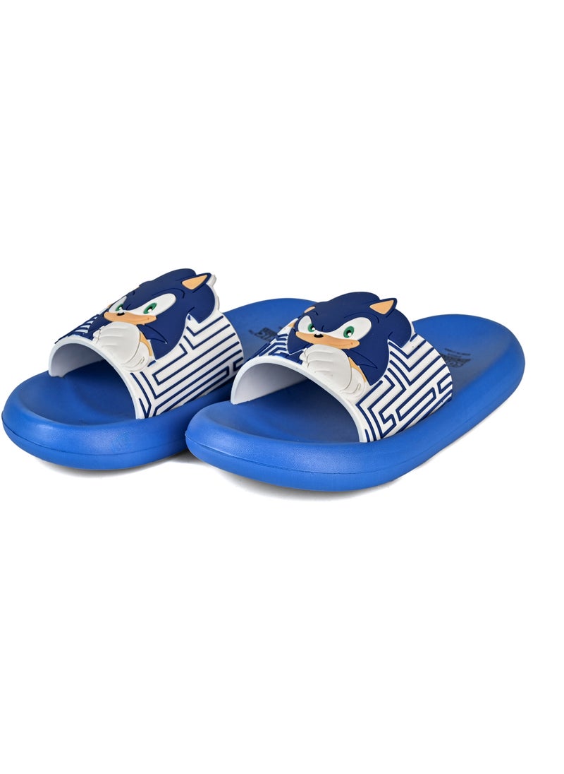 Sonic the Hedgehog Patterned Non-Slip Sole Boys' Suitable for Daily Use - pzsku/Z6F4F8905C8FCED5BF2B6Z/45/1741169352/e674a344-a08d-4f1f-b01f-9ae2d7e97a38