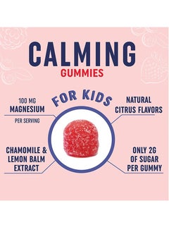 Kids Magnesium Citrate Gummy,With Magnesium, Chamomile & Lemon Balm,Yummy Strawberry Flavor,Dietary Supplement 60 Gummies - pzsku/Z6F5102D92533BBC9D5DEZ/45/_/1739153054/ffc39fdb-864e-48af-bf6e-b9e45129f096