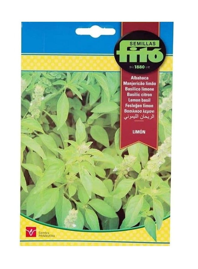 فيتو بذور الليمون والريحان عالية الجودة من Semillas Fitó - Image 1