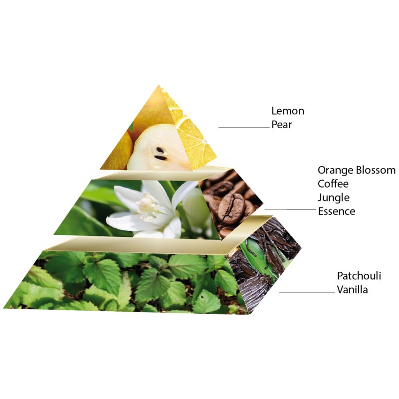 باسكال مورابيتو عطر بيربل ليدي EDP - Image 2