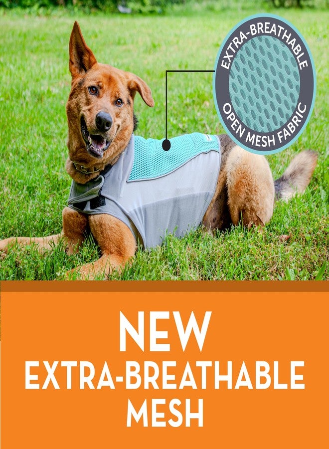 ThunderShirt Breeze for Dogs, X-Small, Aqua, Extra Breathable Mesh Fabric, Dog Anxiety Relief Vest for Every Day Stress & Calming During Thunder Storms and Fireworks - Image 5