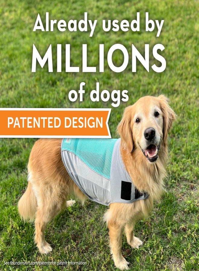 ThunderShirt Breeze for Dogs, X-Small, Aqua, Extra Breathable Mesh Fabric, Dog Anxiety Relief Vest for Every Day Stress & Calming During Thunder Storms and Fireworks - Image 2