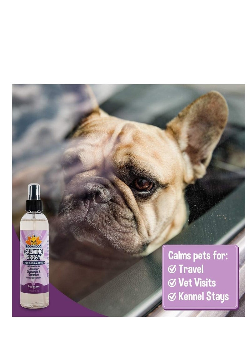 Bodhi Dog - Bodhi Dog natural dog cologne premium scented deodorizing body spray for dogs & cats neutralizes strong odors dog perfume with natural dog conditioner made in USA calming lavender 8 fl oz - Image 1
