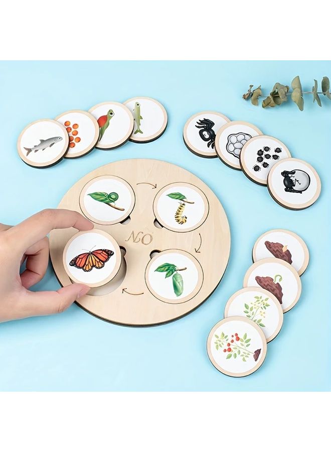 Wooden Animal Life Cycle Learning Set With Stickers Display Tray Storage Bag Preschool Educational Toy - Image 2