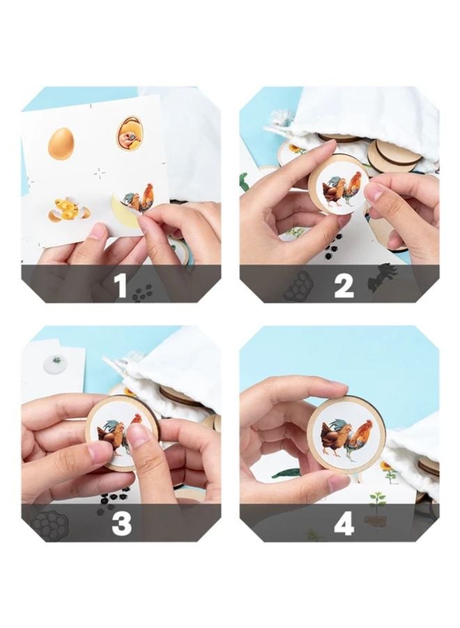 Wooden Animal Life Cycle Learning Set With Stickers Display Tray Storage Bag Preschool Educational Toy - Image 4