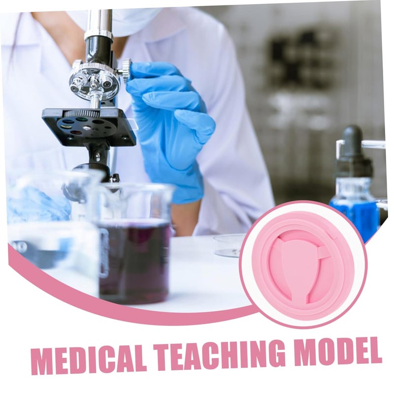 Female Intrauterine Contraceptive Simulator Trainer for Healthcare Training Iud Practice Model for and Contraceptive Techniques Material - Image 4
