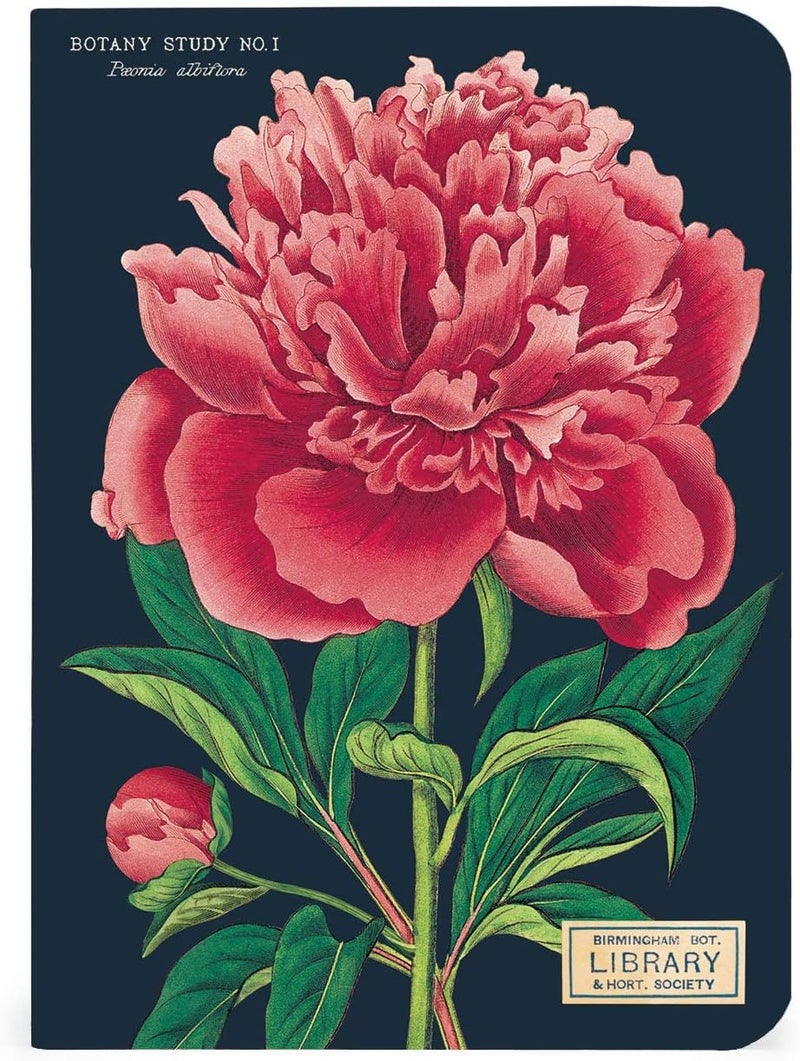 CAVANILLI & CO. Botany Mini Notebooks - Image 3