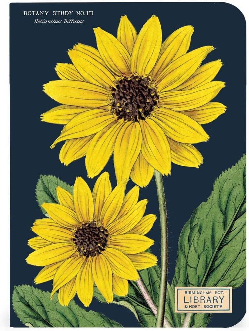 CAVANILLI & CO. Botany Mini Notebooks - Image 5