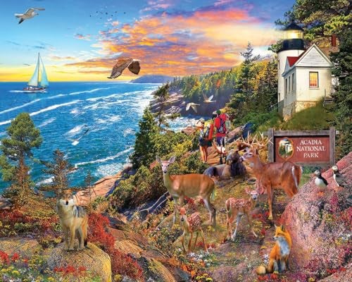 White Mountain 1000 Piece Jigsaw Puzzle Coastal Wildlife Landscape Puzzles with Large Pieces Gift for Adults and Family 24x30 Acadia National Park - Image 1