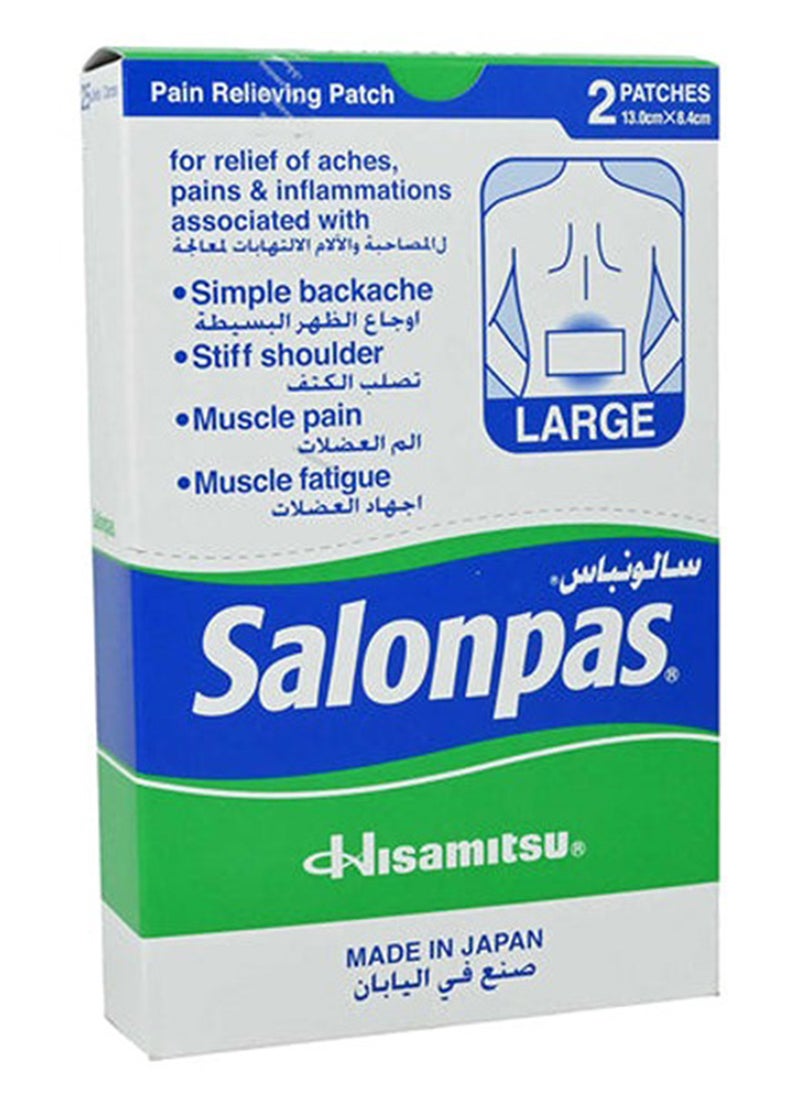 Salonpas Patch 25X2 Large 