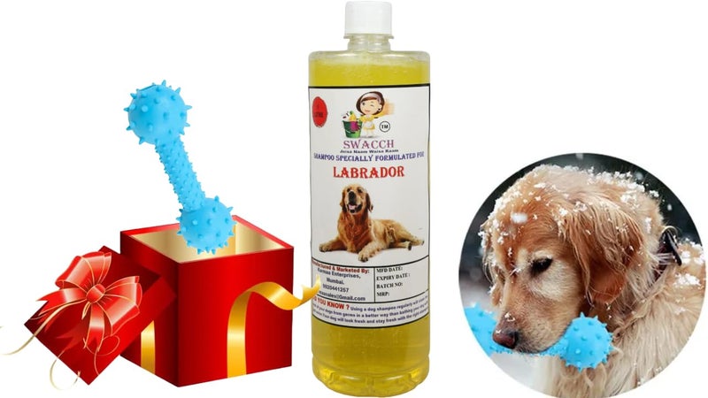 swacch Labrador Dog Shampoo + Dumbbell Toy I Durable Rubber Dog Toy for Chewing I Playing,Teeth Cleaning & Training Toy I Combo Pack I 1 Litre Lemon - Image 1