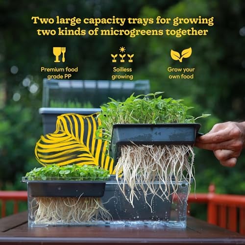 UGAOO Seed Sprouter Kit | Microgreens Growing Trays with Transparent Lid | Soil-Free Sprouter Tray for Home, Kitchen & Balcony Gardening - Image 5