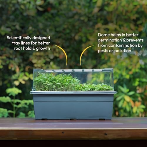 UGAOO Seed Sprouter Kit | Microgreens Growing Trays with Transparent Lid | Soil-Free Sprouter Tray for Home, Kitchen & Balcony Gardening - Image 3