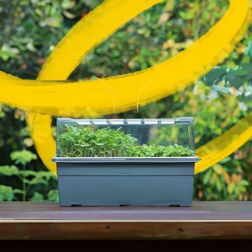 UGAOO Seed Sprouter Kit | Microgreens Growing Trays with Transparent Lid | Soil-Free Sprouter Tray for Home, Kitchen & Balcony Gardening - Image 1