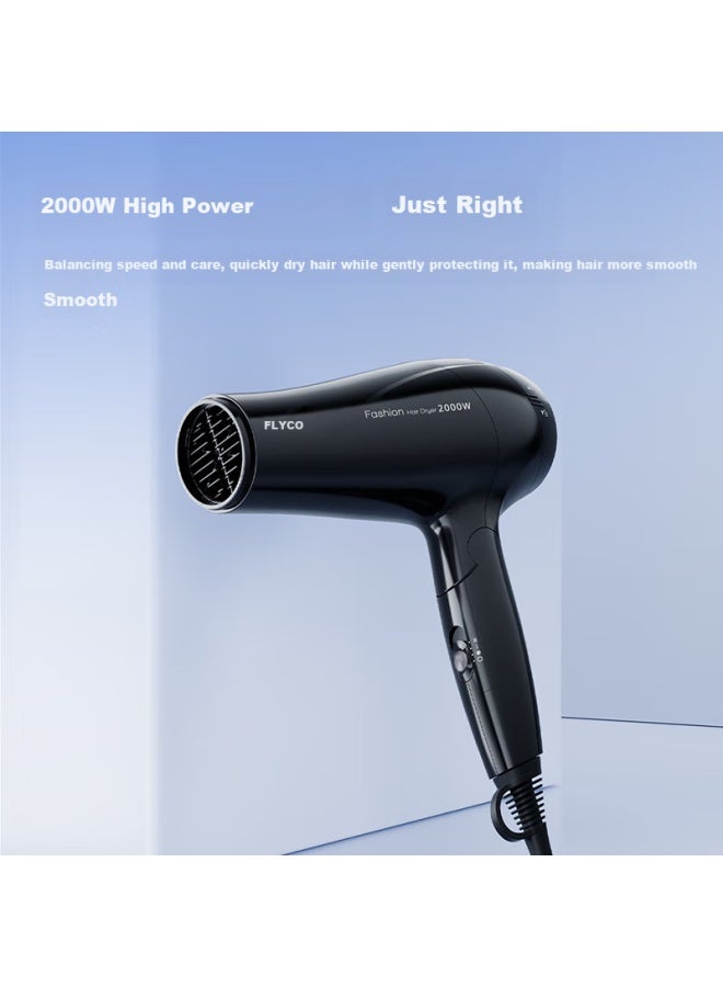 Flyco Household Portable Cold And Hot Air Hair Dryer 2000w High Power Fh6231 - Image 1