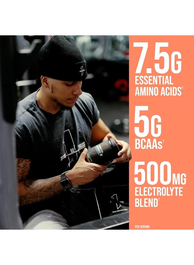 Rule1 Essential Amino 9 Supplement 330g | Fruit Punch | Supports Muscle Recovery and Electrolytes for Hydration, 11.64 Oz, 30 Servings - Image 3