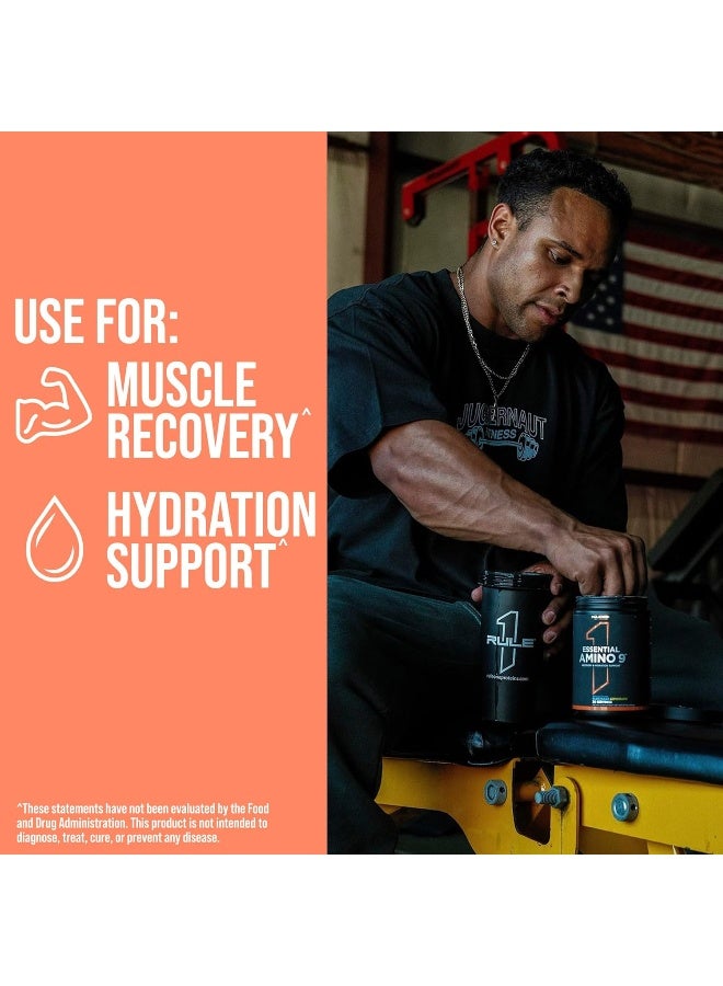 Rule1 Essential Amino 9 Supplement 330g | Fruit Punch | Supports Muscle Recovery and Electrolytes for Hydration, 11.64 Oz, 30 Servings - Image 4