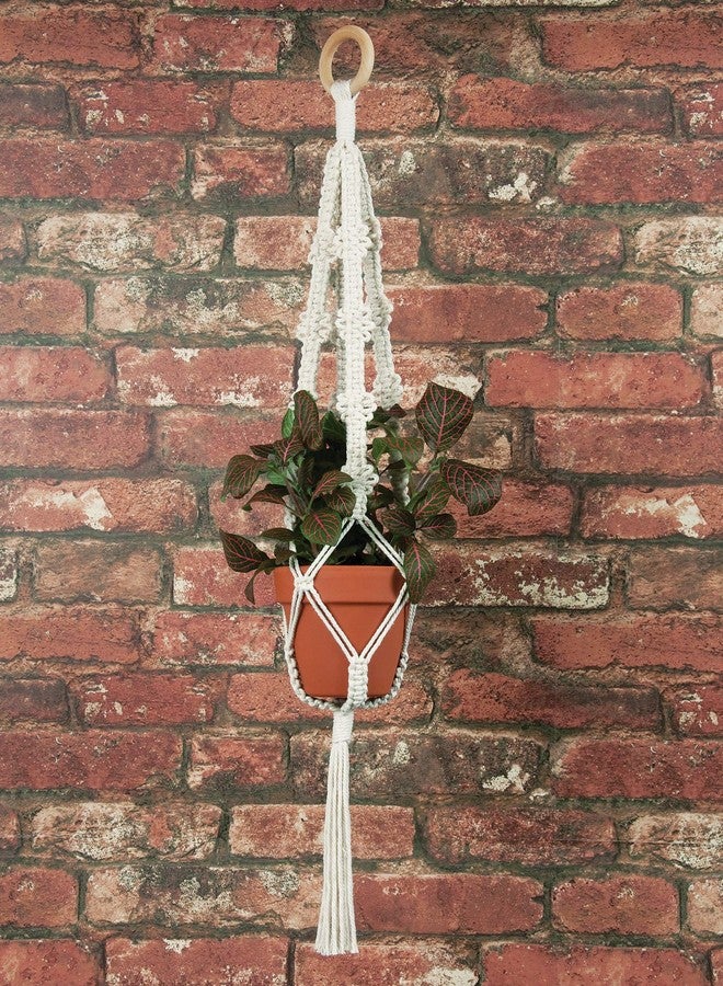 SOLID OAK MACRAME PLNT HNGR KT 4 PICOTS - Image 3