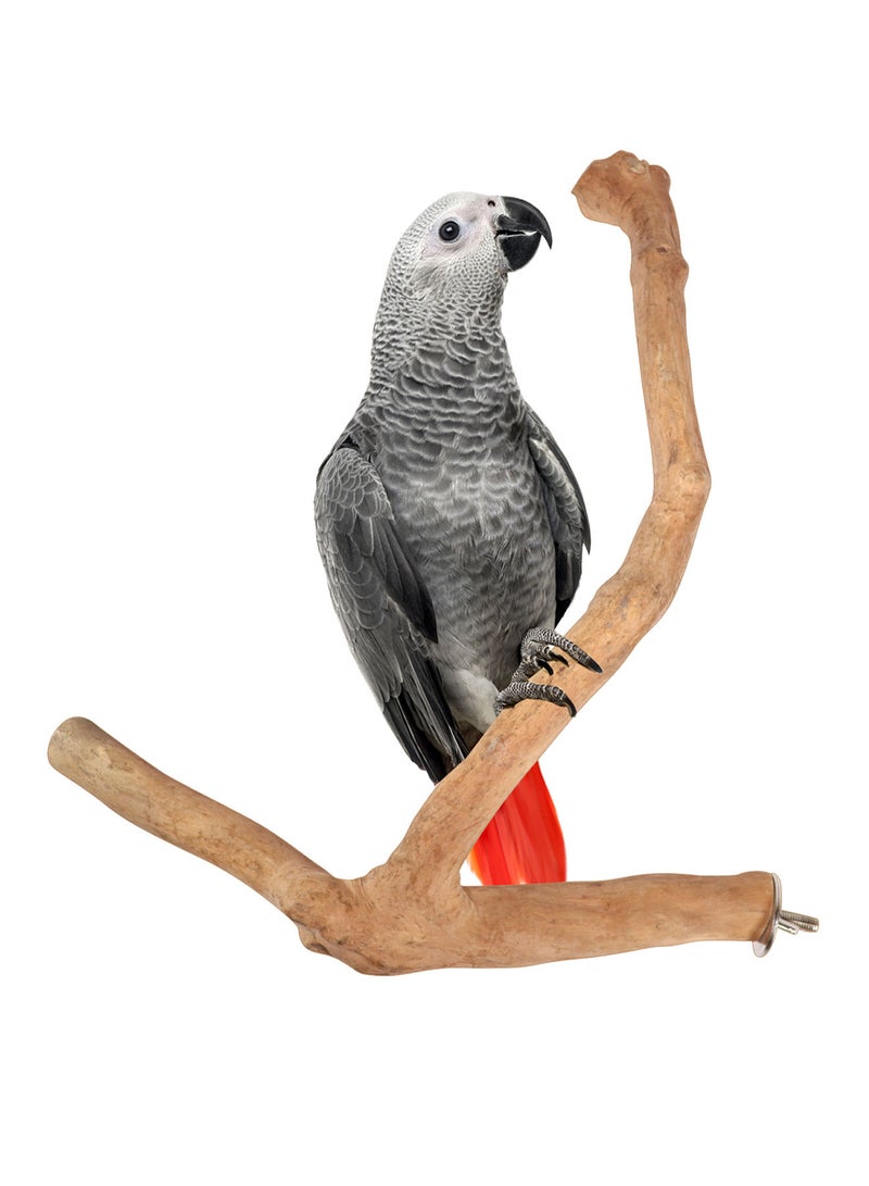 CHEWY BEAK Birds wooden perch solid java wood stick for cockatoo parrots and african gery parrots suitable for all bird cages - Image 1