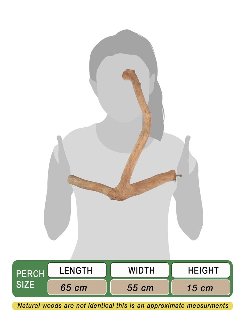 CHEWY BEAK Birds wooden perch solid java wood stick for cockatoo parrots and african gery parrots suitable for all bird cages - Image 2