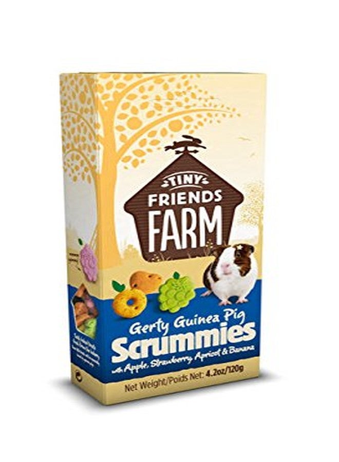 مزرعة الأصدقاء الصغار Tiny Friends Farm Supreme Petfoods Gerty Guinea Pig Scrummies (عبوة من 4 قطع) - Image 4
