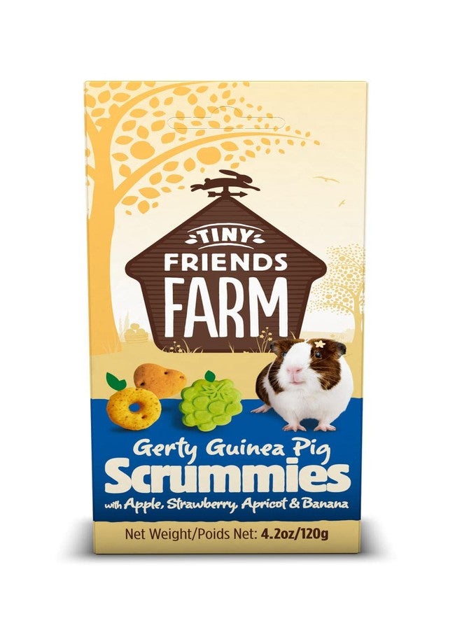 مزرعة الأصدقاء الصغار Tiny Friends Farm Supreme Petfoods Gerty Guinea Pig Scrummies (عبوة من 4 قطع) - Image 1