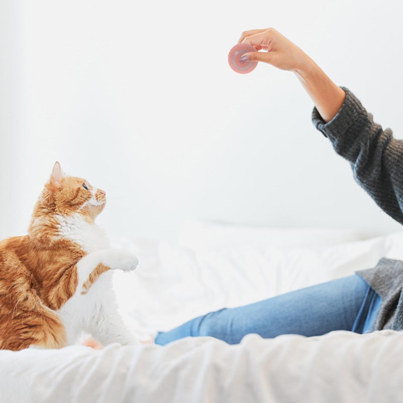Interactive Smart Cat Ball Pink Chew Resistant Kitten Toy For Indoor Play And Dental Grinding - Image 5