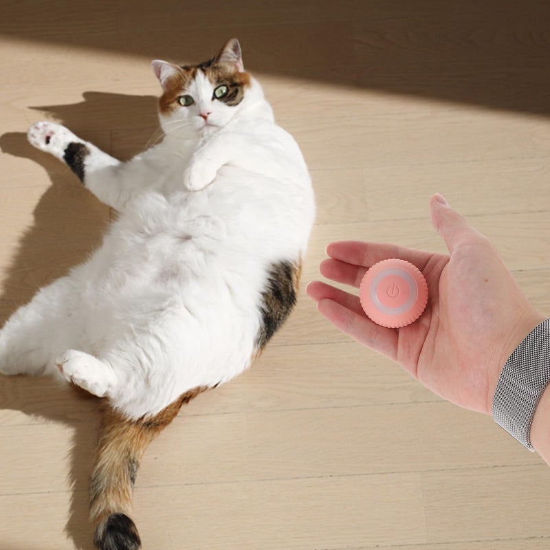 Interactive Smart Cat Ball Pink Chew Resistant Kitten Toy For Indoor Play And Dental Grinding - Image 4