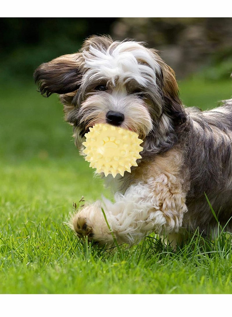 سيوسي الحيوانات الأليفة الكرة الكلب سبايك الكرة لعبة تدريب الحيوانات الأليفة الكرة المضادة للعض الأضراس لعبة تفاعلية الكلب لعبة الذكاء علاج الكلب الكرة 3 قطع - Image 2