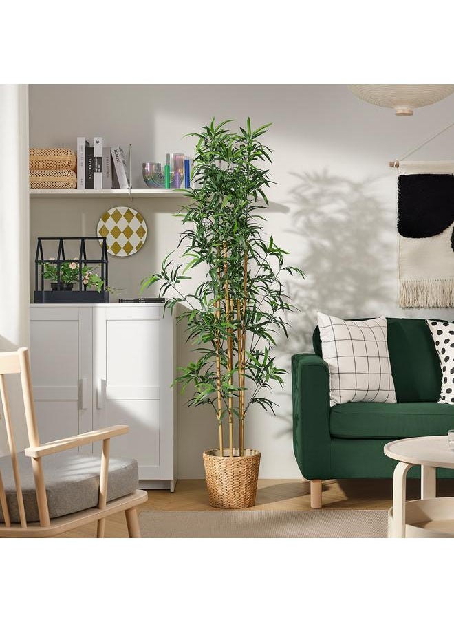 erorex Artificial Potted Plant, In/Outdoor Bamboo, 23 Cm  - Image 3