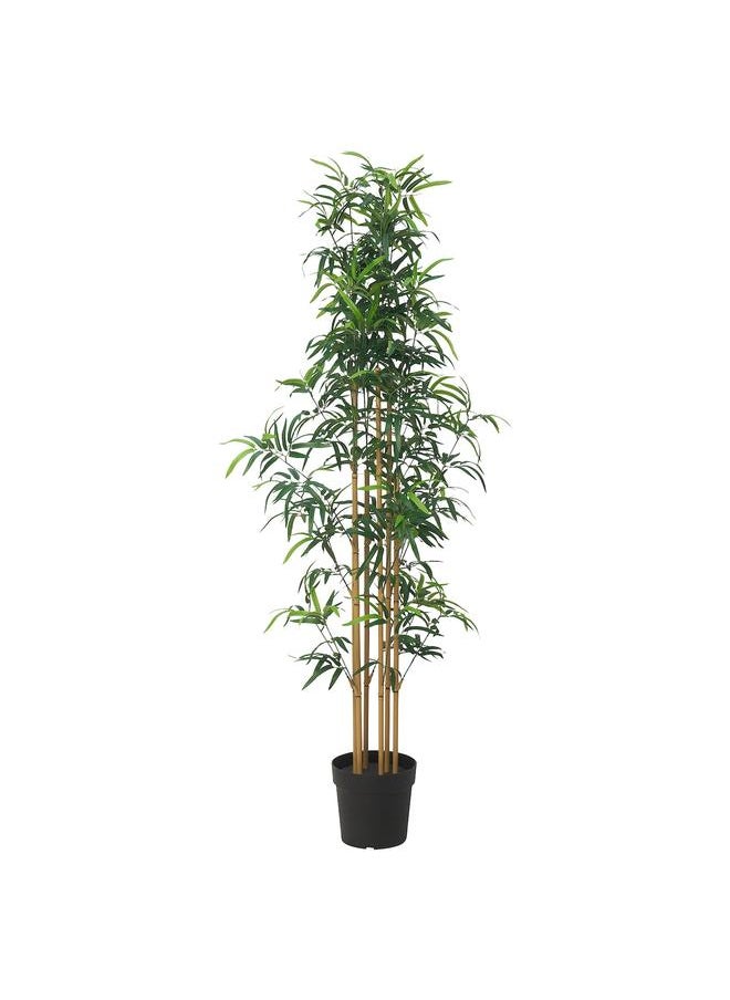 erorex Artificial Potted Plant, In/Outdoor Bamboo, 23 Cm  - Image 1