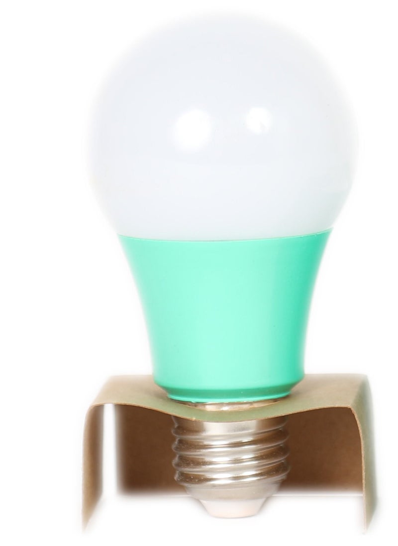 5 Watts LED Bulb