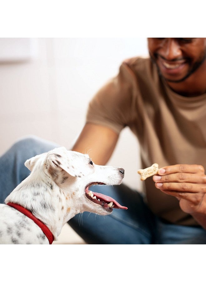 MILK-BONE Mini'S Original Dog Treats, 15 Ounce (Pack Of 6), Crunchy Biscuit Helps Clean Teeth - Image 4