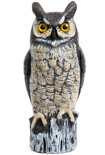 Dalen Large Fake Owl Decoy to Scare Birds Away - 16 in Hand-Painted Great Horned Owl Garden Scarecrow for Natural Pest Control - Fixed Head Design - Secure Upright by Filling with Sand/Gravel Only - Image 1