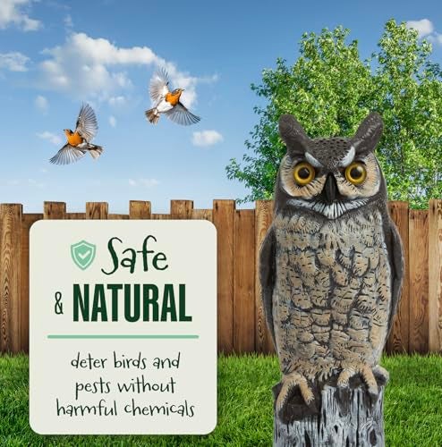 Dalen Large Fake Owl Decoy to Scare Birds Away - 16 in Hand-Painted Great Horned Owl Garden Scarecrow for Natural Pest Control - Fixed Head Design - Secure Upright by Filling with Sand/Gravel Only - Image 4