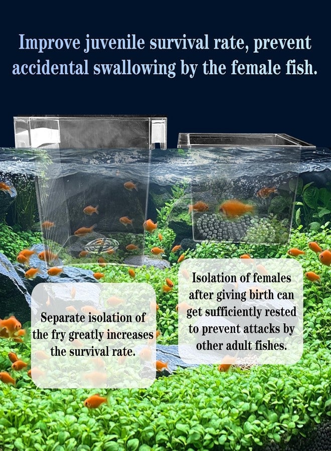 WEAVERBIRD Aquarium Fish Breeder Box, Acrylic Fish Isolation Breeding Box, Square Hatchery Box Hatching Incubator Box for Baby Fish Shrimp Clownfish Guppy - Image 3