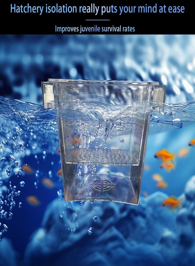 WEAVERBIRD Aquarium Fish Breeder Box, Acrylic Fish Isolation Breeding Box, Square Hatchery Box Hatching Incubator Box for Baby Fish Shrimp Clownfish Guppy - Image 4