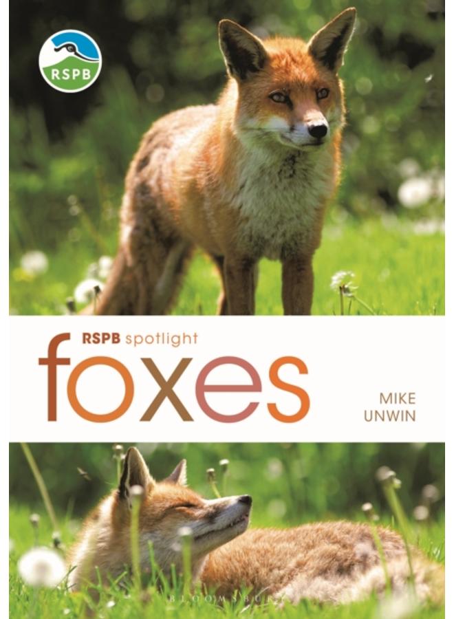 RSPB Spotlight: Foxes 