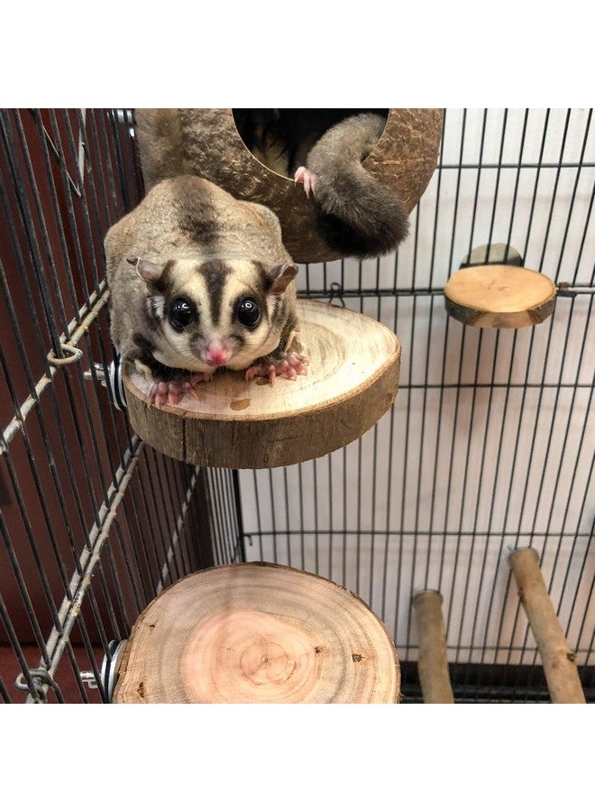 NEOUZA Sugar Glider Cage Stand Pole and Platform Made of Natural Eucalyptus,Molar Paw Grinding Standing Climbing Toy - Image 5