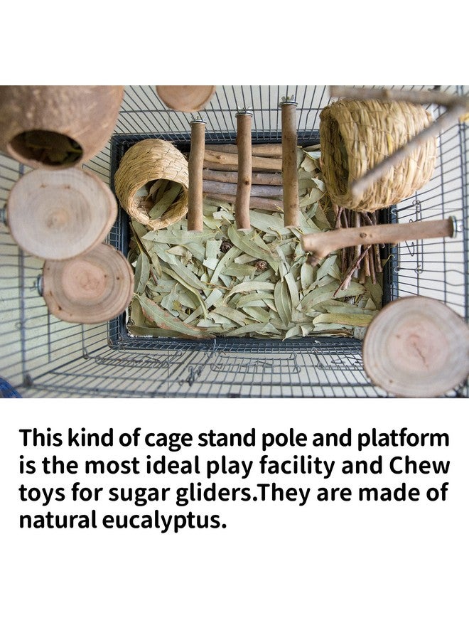 NEOUZA Sugar Glider Cage Stand Pole and Platform Made of Natural Eucalyptus,Molar Paw Grinding Standing Climbing Toy - Image 2