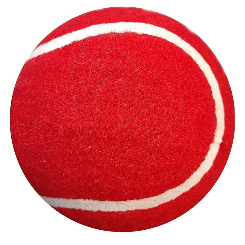 AMIFIT Light Weight Tennis Ball | Perfect for Recreational Sports, Cricket and Kids, Pack of 12 (Red) - Image 2