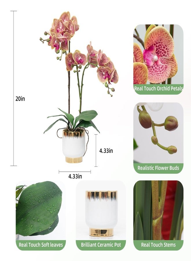 CXGS Orchids Artificial Flowers Real Touch Fake Flowers in Ceramic Pot 20" Purple Dapple Faux Orchid Plant Lifelike Silk Phalaenopsis for Centerpiece Hotel Home Indoor Decor - Image 2