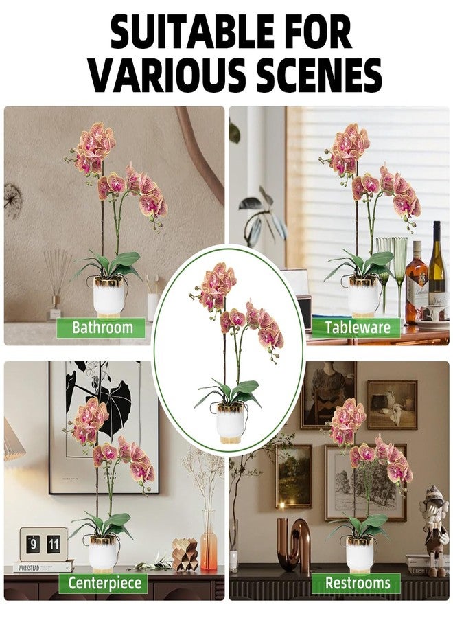 CXGS Orchids Artificial Flowers Real Touch Fake Flowers in Ceramic Pot 20" Purple Dapple Faux Orchid Plant Lifelike Silk Phalaenopsis for Centerpiece Hotel Home Indoor Decor - Image 5