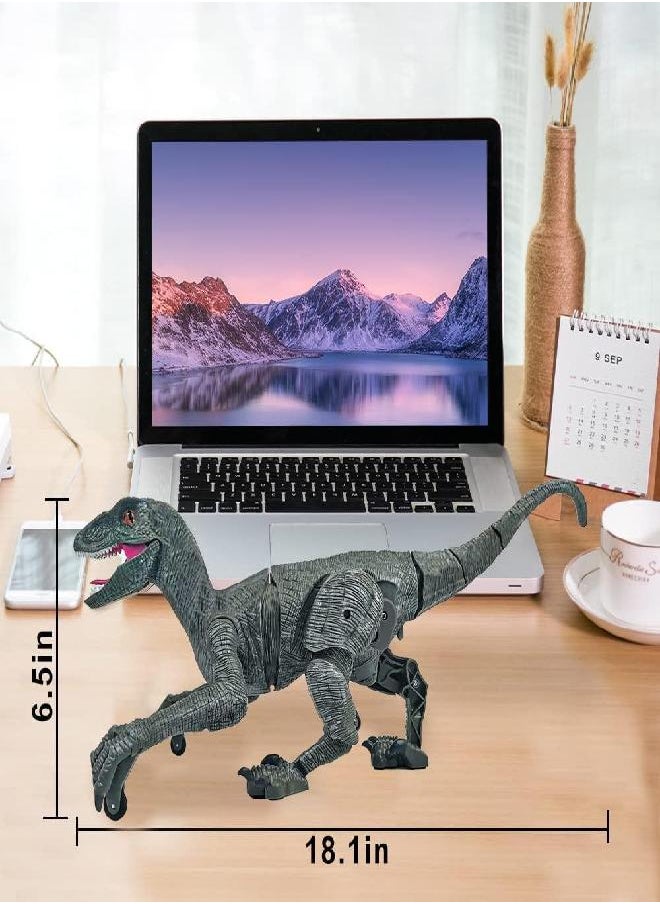 BOMPOW - Remote Control Dinosaur Toys for Boys 4-7 Dinosaur Robot Toys with Verisimilitude Sound for Boys (Gray) - Image 1
