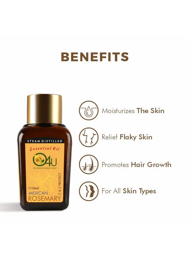 O4U Mexican Rosemary Essential Oil For C & C Sun Protection Skin Moisturisation Scalp Nourishment Oil Balance Acne Control ; Usda Certified 100% Pure & Organic ; (10Ml) - Image 3