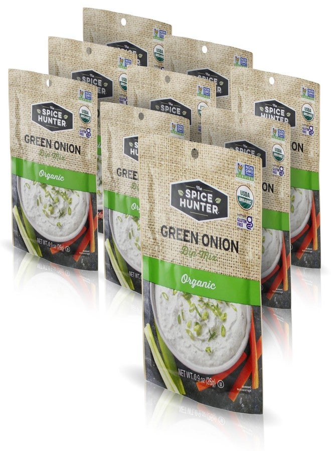 Spice Hunter Pkt, Green Onion Dip, 0.9 Ounces (Pack of 12)