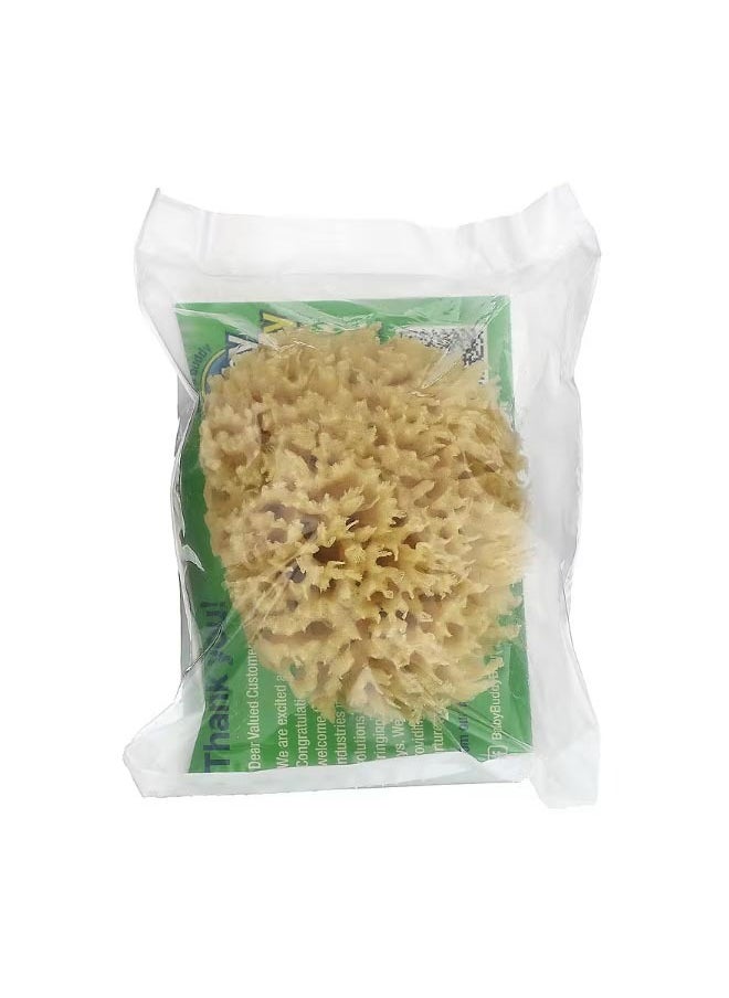 Natural Premium Sea Wool Bath Sponge 1 Sponge - pzsku/Z6F68C008E42DC07F8761Z/45/_/1702702573/34ae4b0c-5216-41ad-8f6e-54aa3a5ed945