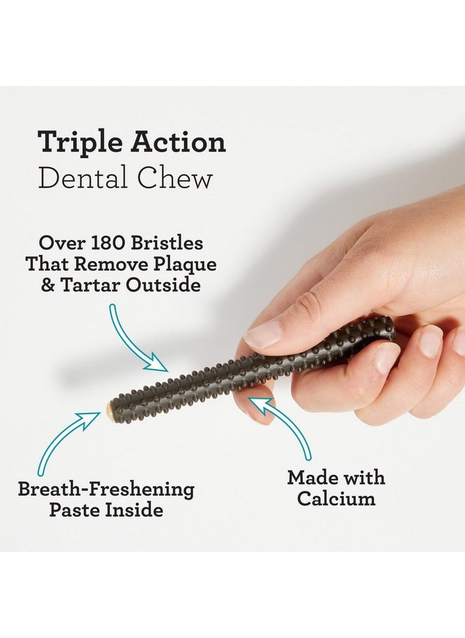 Dreambone Triple Action Dental Sticks Charcoal, 10 Count, Rawhide-Free Chews for Small and Medium Sized Dogs Freshens Breath