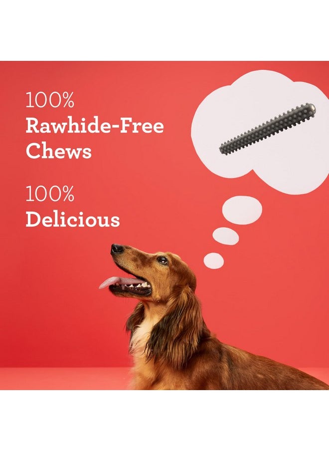 Dreambone Triple Action Dental Sticks Charcoal, 10 Count, Rawhide-Free Chews for Small and Medium Sized Dogs Freshens Breath