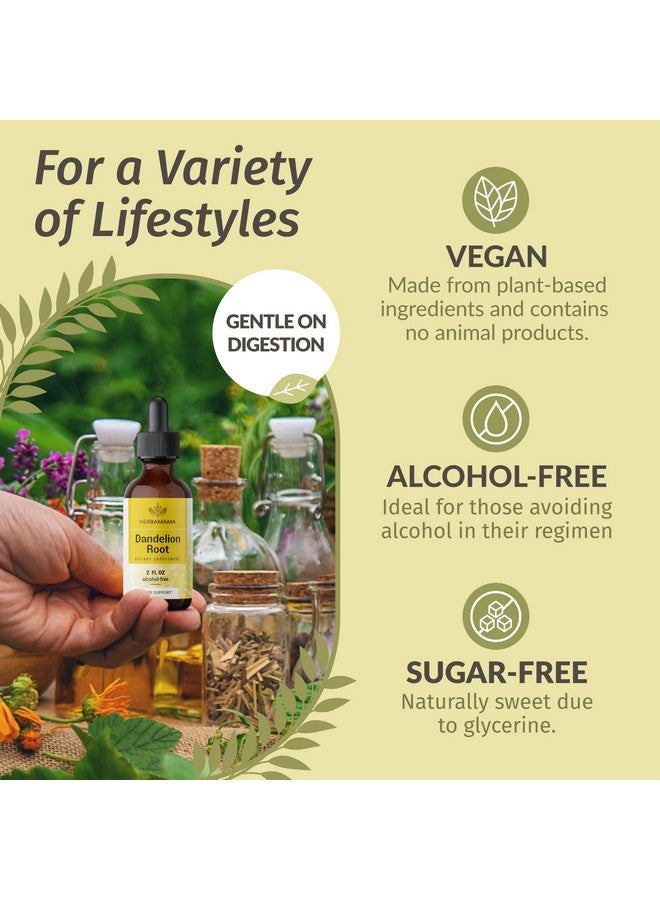HERBAMAMA Dandelion Root Tincture - Vegan Dandelion Root Extract for Liver Detox and Cleanse - Non-GMO, Alcohol & Sugar-Free Liquid Liver Support Supplement, 28-Day Supply - Image 5
